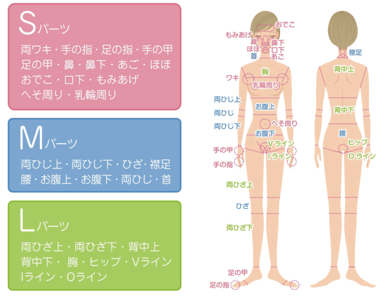 部分脱毛パーツ表